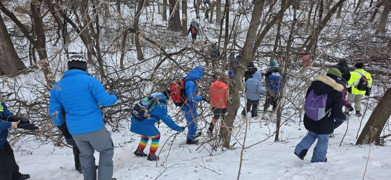 MH3 trail photo 10