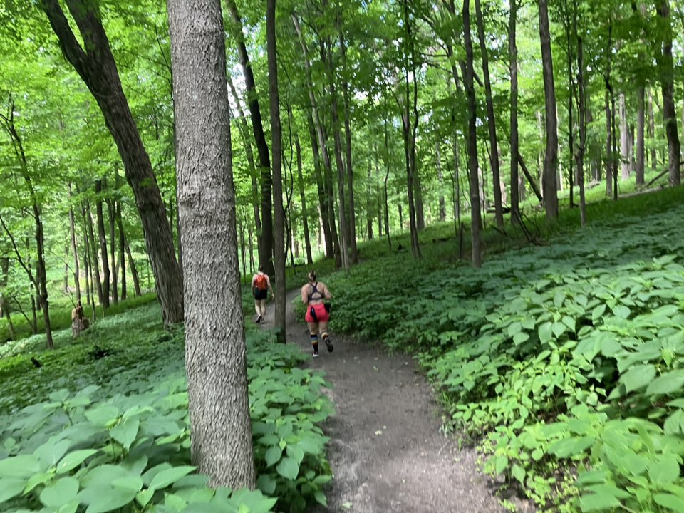 MH3 trail photo 6