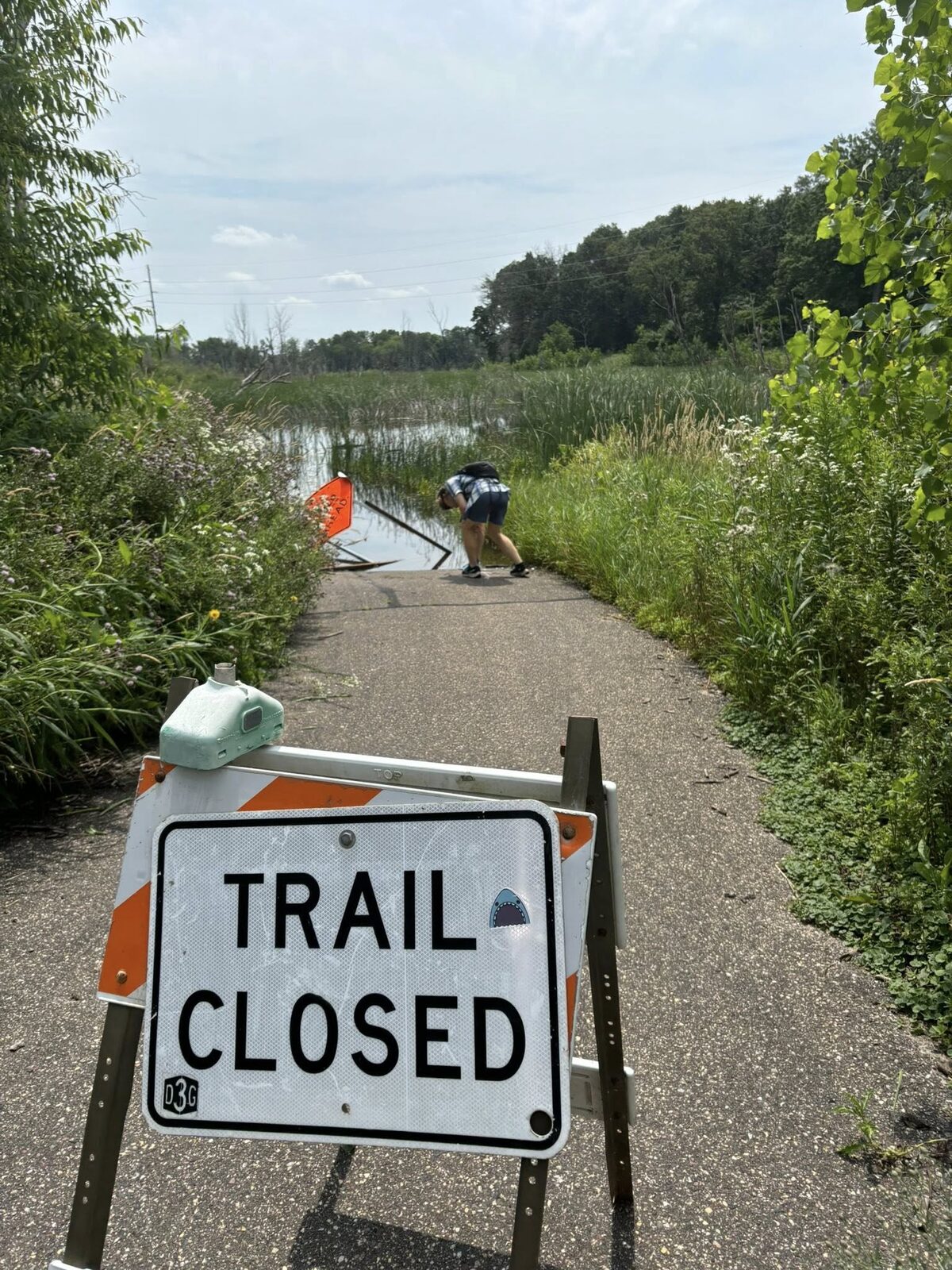 MH3 trail photo 7